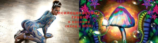 spice Гусиноозёрск
