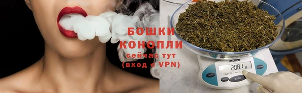 кокс Гусев
