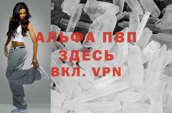 кокс Гусев