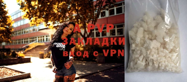 spice Гусиноозёрск
