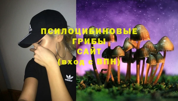 кокс Гусев